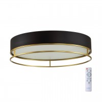 Потолочный светильник SONEX LOFTY 7723/100L
