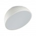 Потолочный светильник SONEX PLUTO WHITE 7657/35L