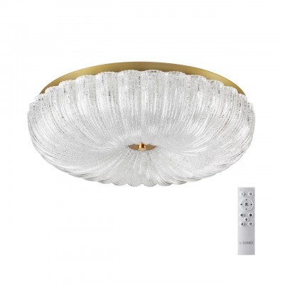 Потолочный светильник SONEX TESORO 7719/60L