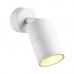 Потолочный светильник ODEON LIGHT CORSUS 4208/1C