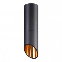 Потолочный светильник ODEON LIGHT PRODY 4209/1C