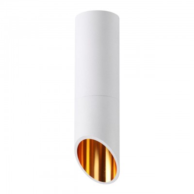 Потолочный светильник ODEON LIGHT PRODY 4210/1C