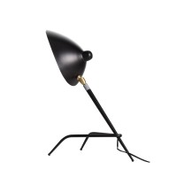 Настольный светильник ST LUCE SL305.404.01