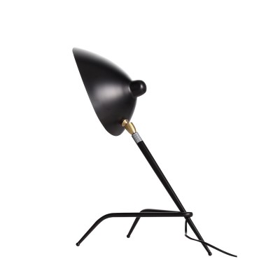 Настольный светильник ST LUCE SL305.404.01