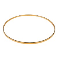 Шинопровод ST LUCE ST025.209.00