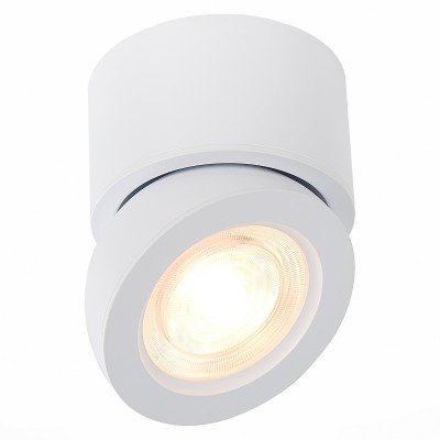 Накладной светильник ST LUCE ST654.542.10