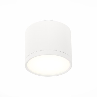 Накладной светильник ST LUCE ST113.542.09