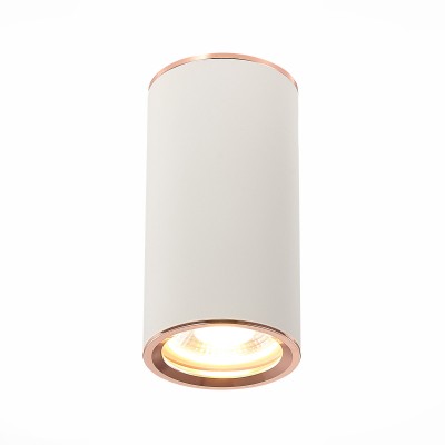 Накладной светильник ST LUCE ST111.527.01