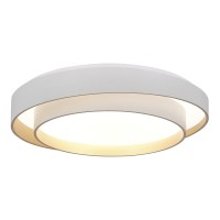 Потолочный светильник EVOLUCE SLE6009-502-01
