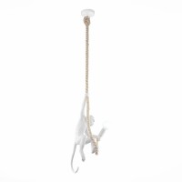 Светильник подвесной EVOLUCE TENATO SLE115103-01