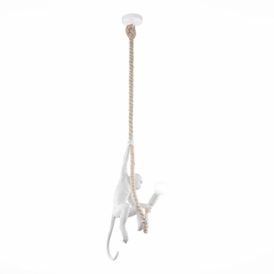 Светильник подвесной EVOLUCE TENATO SLE115103-01