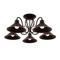 Люстра потолочная EVOLUCE CIOLLA SLE120402-05