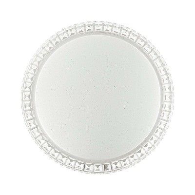 Настенно потолочный светильник Brisa 2036/FL